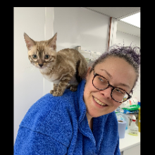 Profile image - login or join to find out more.